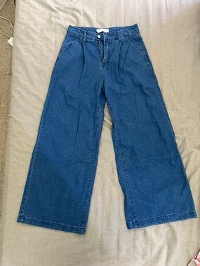 Zara Wide-Leg pleated Jeans - Deep Blue